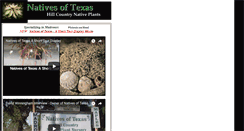 Desktop Screenshot of nativesoftexas.com