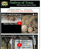 Tablet Screenshot of nativesoftexas.com